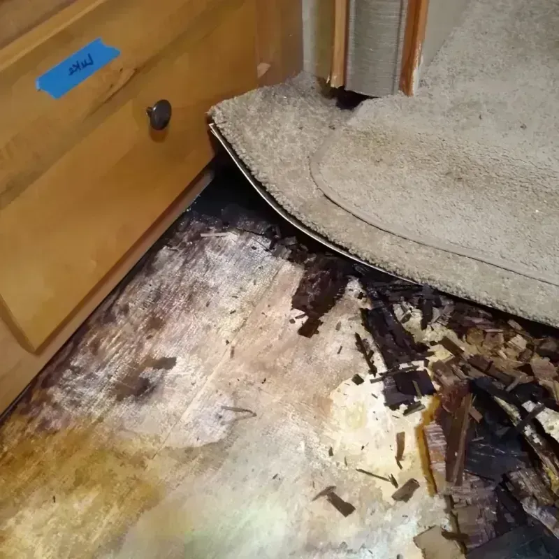 Best Wood Floor Water Damage Service in Huntington, NY